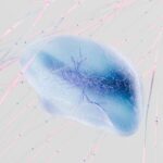 Brain neural network consciousness